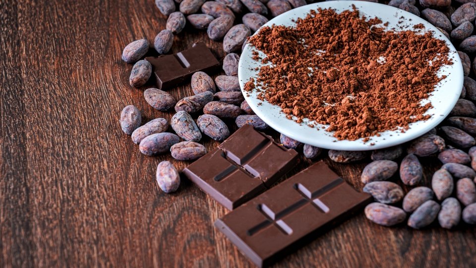 Mesa de madeira com grãos de cacau in natura, barras de chocolate escuro e um prato branco contendo cacau em pó puro.